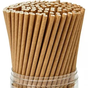 Pailles en papier kraft  x 250 pièces