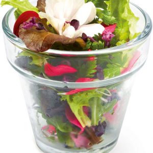 AROME VERRINE 19 CL