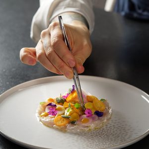 PINCE INOX DU CHEF DROITE 15 CM