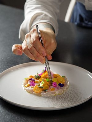 PINCE INOX DU CHEF DROITE 15 CM
