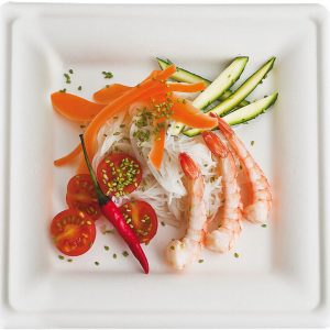 ASSIETTES EN FIBRE CARREES BLANCHES 20,5 CM