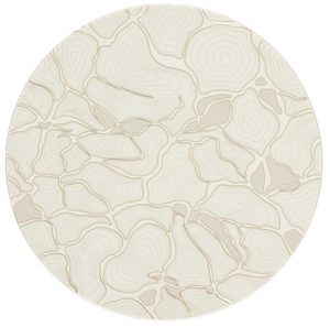 ASSIETTE PLATE Ø 27 CM GOLD CELL – Image 2