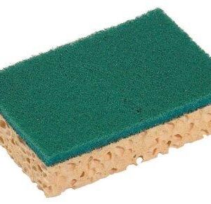 EPONGE GRATTANTE BASIC 130X84X22MM VERT SCT/10 SPONTEX