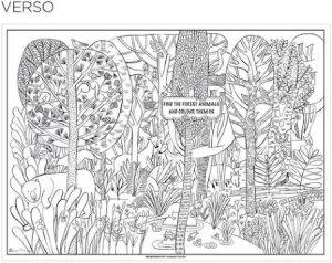 Sets de table coloriage LA FORET x 250 unités. – Image 2