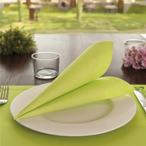 Serviettes ecolabel vert anis  39x39 CM x 50 unités