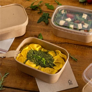 Récipients rectangulaires 750 ML x 50 unités