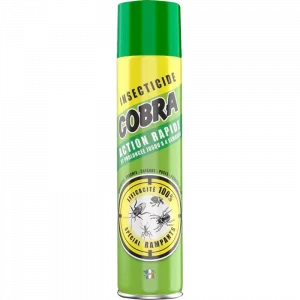 Insecticide rampant aérosol 750ml