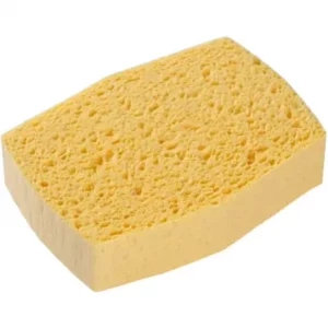 Eponge végétale n° 6